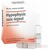 GUNA SPA Heel Hypophysis Suis Injeel 10 Fiale