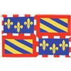 AZ FLAG Bandiera Borgogna 90x60 cm Poliestere 100D 2 Occhielli | Uso interno ed esterno bandiera decorativa della Borgogna doppie cuciture e bordi rinforzati con occhielli metallici