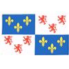 AZ FLAG Bandiera Piccardia 90x60 cm Poliestere 100D 2 Occhielli | Uso interno ed esterno bandiera decorativa della Piccardia doppie cuciture e bordi rinforzati con occhielli metallici