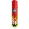 notlok Safety Work - Estintore Casa - Spruzzino Estintore 500 ml + supporto da parete | Contro Tutti Gli Incendi A B F & E < 1000 V | Mini Estintore Auto, Estintori per Casa, Estintore Barca & Camper