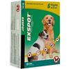 Exspot Soluzione Spot On Per Cani 6 Pipette Da 1 Ml