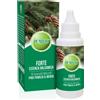 Pumilio Forte Essenza Balsamica Con Oli Essenziali Di Pino Pumilio E Menta 40ml
