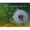 Un pensiero per te