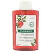 KLORANE (Pierre Fabre It. SpA) Klorane - Shampoo Melograno per Capelli Colorati 200ml