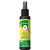 INCOGNITO Incognito Kids Spray 100 ml Repellente per zanzare per bambini Formula senza DEET, protegge fino a 7 ore da un'ampia gamma di insetti pungenti Repellente per zanzare biologico per bambini