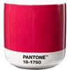 Pantone Cortado COY 2023 - Tazza termica in porcellana