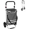 Relaxdays Carrello Spesa Relaxdays, 2 Grandi Ruote, Tasca Termica, Borsa Rimovibile, 45 l, Fino a 35 kg, Pieghevole, Grigio