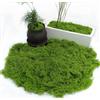 Pandiui23 200 grammi Muschio Artificiale Decorazione Simulazione Muschio Pianta Verde Artificiale Maualitá Simulazione Erba Artificiale Muschio per Decorazione Artigianato (1, Verde, 200 grammi)
