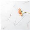 LaCheery 36 Pezzo Piastrelle Adesive Pavimento Bianco Effetto Marmo Pavimento PVC Adesivo Bagno Impermeabile 30cm x 30cm Couverture 3.24㎡ per Cucina Soggiorno Entrata Piastrelle Adesive Pavimenti