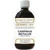 GIORGINI Gemmo 10+ carpino bianco 500 ml liquido analcolico - GIORGINI - 924546221