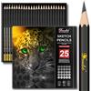 Drawlish Matite da disegno per artisti, 25 gradi (da 14B a 10H), set di matite per schizzi che coprono tutti i gradi - Matita in grafite con legno di prima qualità - Matita artistica ideale per