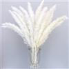 Hileyu 30 Pezzi 40cm Erba Della Pampas Decorative Erba Della Pampas Pianta Finta Pampas Bianche Pampas Decorative Beige Bianche Piccole Pampas Grass Per Vasi, Bouquet Boho Decorazioni (White+Beige)