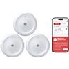 X-SENSE Rilevatore 2-in-1 Acqua e Freddo WiFi: Allarme perdite d'acqua e gelo per cucina, bagno, cantina. Notifiche App, 110 dB, IP66. Compatibile con App X-SENSE Home Security, SWS0B, 3 Pezzi