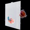 KeaJuidy Divisorio per acquario con gancio adesivo e fascette, griglia in plastica, divisorio trasparente per acquario, scatola inferiore (26 x 33 cm)