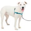 PetSafe EW-HD-ML-OCN-19 Pettorina Deluxe Easy Walk, Media/Grande, Blu Oceano) - 0.38 kg