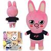 HBSFBH Stray Kids Peluche, Stray Kids Plush Doll, Peluche Animali Skzoo, Stray Kid Cartoon Peluche, Regalo di Compleanno per Bambini e Fan (D)