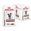 Royal Canin Veterinary Diet Gastrointestinal Umido Feline fettine in salsa Multipack 12x85 gr Ricetta in salsa - Dieta veterinaria per gatti - 1° ORDINE? 20% di sconto SU BRAND ESCLUSIVI, codice BZR20