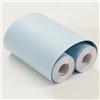 VisitRyl Bordi per Carta da Parati Adesivi Blu chiaro opaco 15cm X 1000cm Design Decorativo