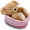 NICI 63133 - Morbido cane di peluche addormentato in un cestino, per coccole e giochi, per bambini e adulti, fantastica idea regalo, 12 cm, beige