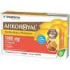 Arkofarma Arkoroyal Pappa Reale 1000 Mg + Vitamina Integratore 10 Fiale Ricostituenti