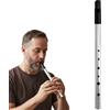 GAZIL Flauto Tin Whistle D per principianti - Flauto irlandese a sei fori, suono limpido, finitura argento antiossidante & kit di avvio (borsetta & tabella delle diteggiature incluse)