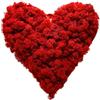 DIMOSA Cuore Red Passion in lamiera d'Acciaio e Vero Muschio di Renne Perfetto per San Valentino, Matrimonio, Anniversario, Festa della Mamma o Come Accessorio per la casa