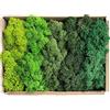Moos Zeit KUNST DER NATUR Muschio naturale conservato decorativo per lavori di bricolage in 5 diversi colori per modellismo, terrario, parete e decorazione per la Pasqua (sacca campione, 150 gr).