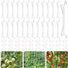 HGRGHH Ganci per Pomodori con Corda, 25 Pezzi Ganci di Supporto per Pomodori e 30 Pezzi Giardino Piante Clip di Supporto con 10 Metri di Corda per Evitare Che i Pomodori Si Spacchino o Cadano, Verde