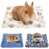 Dryxog 3 Pezzi Letto in Peluche per Conigli Cincillà, Cuscino Gatto Caldo Letto per Porcellini d'india, Calda Coperta per Porcellino d'india per Piccoli Animali (Stile A)