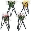 Besimple Confezione da 4 supporti per piante aeree, base tillandsia, moderna geometrica in metallo, espositore per piante aeree, grande streptophylla da tavolo, per decorazione di casa e ufficio