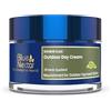 Blue Nectar Natural SPF Face Moisturiser - Crema viso ayurvedica giorno con SPF 30 - Crema idratante viso illuminante SPF - Crema viso naturale per la cura solare e abbronzante con erbe ayurvediche