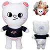 HBSFBH Stray Kids Peluche, Stray Kids Plush Doll, Peluche Animali Skzoo, Stray Kid Cartoon Peluche, Regalo di Compleanno per Bambini e Fan (B)