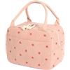 GOSHIES Piccola Borsa Frigo Termica 9L Borsa Frigo Piccola con Foglio di Alluminio Isolato Borsa Porta Pranzo Porta Pranzo Termico per Lavoro, Scuola,Viaggi, Campeggio, Picni