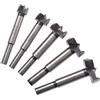 Fongmore Set di 5 frese Forstner per menuiserie da 15 mm, 20 mm, 25 mm, 30 mm, 35 mm, set di punte in acciaio ad alto tenore di carbonio con stelo oblungo per cerniere