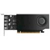 NVIDIA QUADRO RTX A1000 8GB GDDR6 PCI EX 4.0 16X - 4 MINI DISPLAYPORT