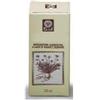 ECOL Sas Tiglio Gemme Estr Analco 50ml