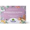 Valverbe Echinacea Alpina Bio - Tisana per le difese immunitarie e le vie respiratorie, 20 filtri