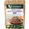 Amoseeds Semi di Lino Marrone BIO 1KG | Interi, Naturale, Senza Glutine né Additivi | Ricchi di Omega 3, Fibre | Flaxseeds di Qualità Superiore