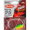 Berkley® Glaucomi Rig - Indiana