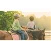 Giro in sella con cavalli e pony a Pietra Ligure (Savona)