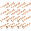 QUARKZMAN 30 Pz Rivetti Solidi in Rame, 1/8 x 25/32 Rivetto a Testa Rotonda Fissaggi Metallici per Applicazioni Elettriche Finitura in Rame, Tonalità Rame