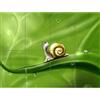 Artery8 Cute Snail Rain XL Giant Panel Poster (8 Sections) Carina Pioggia Manifesto
