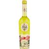 STREGA ALBERTI LIQUORE STREGA ALBERTI 40Â° 700 ML 01602