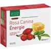 NATURA SERVICE ROSA CANINA ENERGIE BIO 10AB