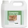 Camp Professional Trattamento Consolidante Ecologico Per Intonaci E Pietre Naturali Compatto Eco Camp 3 L