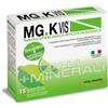 POOL PHARMA Srl MGK VIS LEMONADE 15 BUSTINE