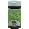 GOLDEN WAVE Srl PHELLINUS BRAIN 60CPS VEGETALI