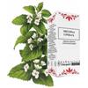 LINDAS LAB. OMEOPATICI Melissa 30 Ml Gocce Lindas