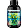 SANGALLI Srl ALGA SUBLIME 500CPS