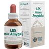 FORZA VITALE LES PRUNUS AMYGDAL 50ML MG FORZA